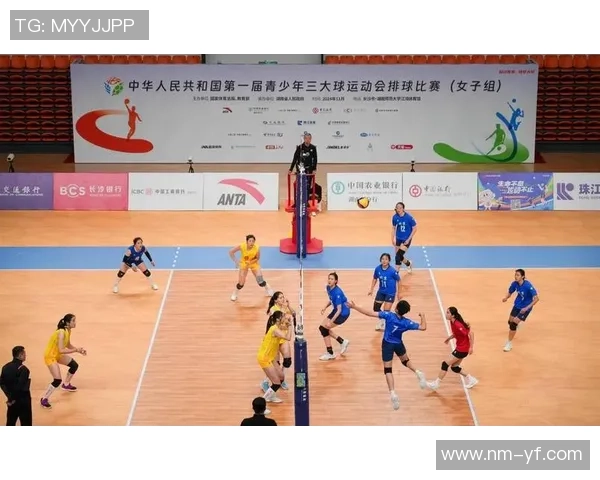 南京排球队的奋斗与荣耀：一段不平凡的排球纪实之旅