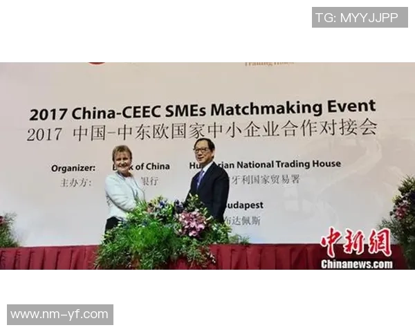 南京攀岩队团队协作引发热议争议背后的信任与默契考验