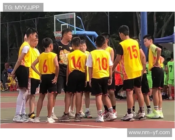 南京篮球队在精英赛中的意识表现分析与战术评估