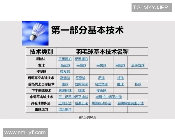南京羽毛球队反击战术深度解析与训练策略探秘