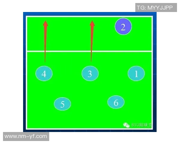 杭州排球队战术解析与发展策略探讨助力竞技水平提升