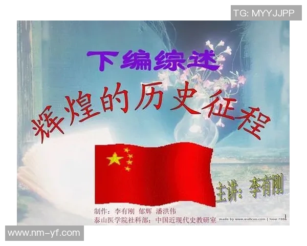 深圳排球队的辉煌征程与冠军赛背后的奋斗故事