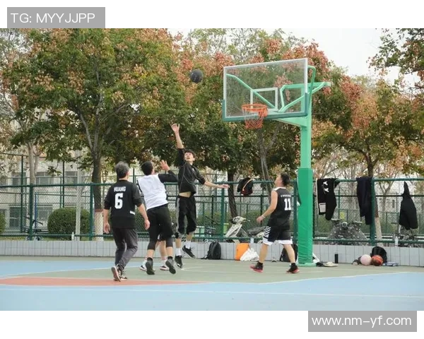 科学篮球团队协作训练方法探索与实践提升团队默契与竞技水平